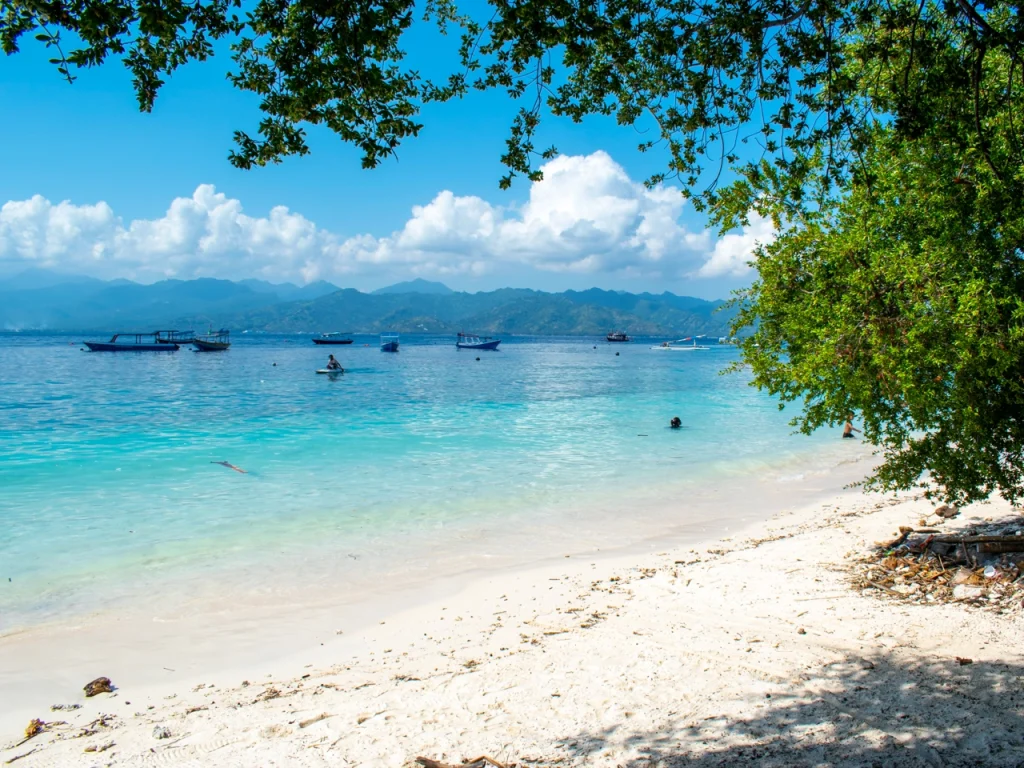 gili t facts 4x3