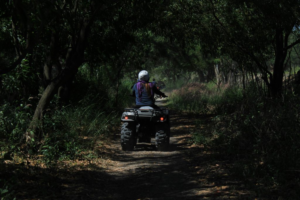 Riders enjoy an ATV adventure on a scenic forest trail surrounded by lush greenery.
